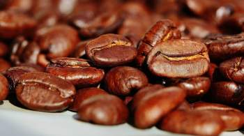 Диетолог назвала продукты, которые помогут отказаться от кофе