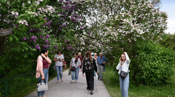 Деревья массово цветут на природных территориях Москвы