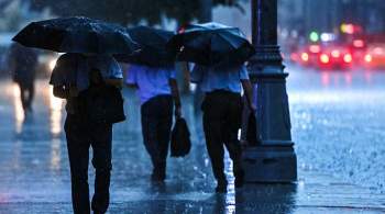 Власти Москвы: непогода не повлияла на работу систем жизнеобеспечения