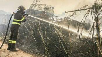 В Сардинии объявили режим ЧС из-за сильнейших пожаров