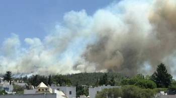 Испания направит в Турцию самолеты для борьбы с лесными пожарами