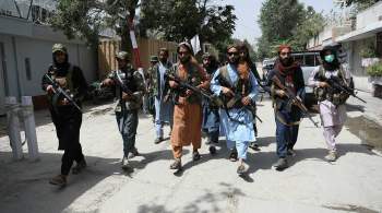 Талибы сформируют комитет для создания проекта новой конституции