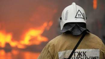 В МЧС Казахстана назвали возможную причину лесных пожаров