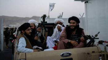 Талибы начинают утрачивать антитеррористический потенциал, заявили в МИД