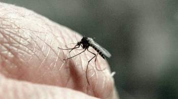 Китай победил малярию