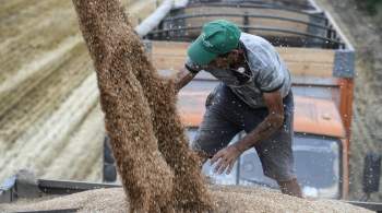 Россия поставит нуждающимся странам 30 миллионов тонн зерна до конца года