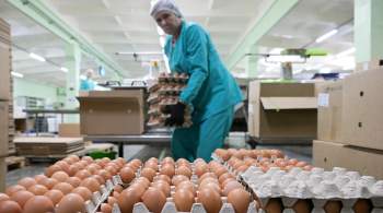 Путин назвал причину роста цен на яйца в России 