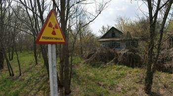 Лукашенко заявил о необходимости возрождать земли Чернобыльской зоны