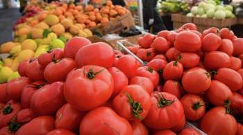 Названы продукты, которые опасно сочетать с помидорами