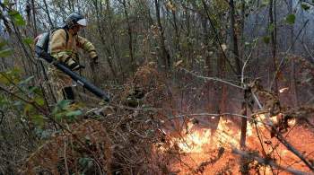 Мишустин призвал не допустить ухудшения ситуации с пожарами в регионах