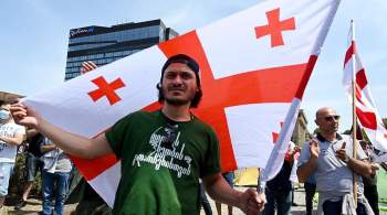 Противники  европейских ценностей  в Грузии порвали флаги ЕС и НАТО