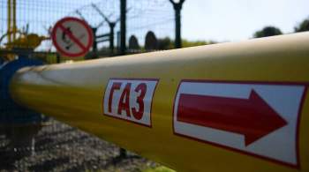 Немецкий оператор сообщил о росте объема прокачки газа по  Ямал – Европе 