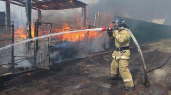 В Курганской области ввели режим ЧС из-за природных пожаров