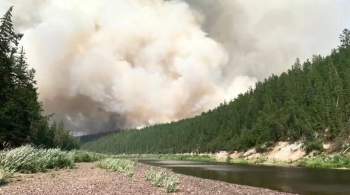 Новых лесных пожаров за прошедшие сутки в Якутии не обнаружено