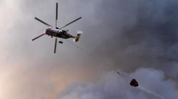 Лесопожарные службы за сутки потушили 53 природных пожара