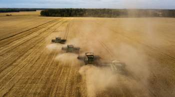 Болгария может временно запретить импорт зерна с Украины