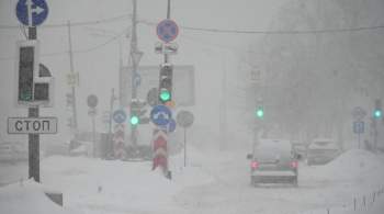 В Севастополе за ночь выпала половина месячной нормы снега  