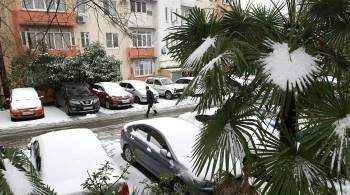 В Сочи полиция ищет туристку, пинавшую припаркованные автомобили