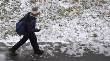 Орловская прокуратура внесла 65 представлений по уборке снега 
