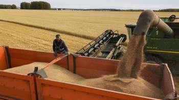 Россия и Турция достигли соглашения о поставке миллиона тонн зерна 