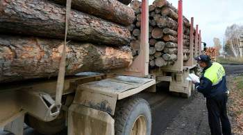 Правительство не рассматривает отмену запрета на вывоз круглого леса