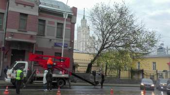Коммунальщики Москвы оперативно устраняют последствия ураганного ветра