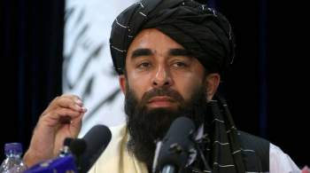 В  Талибане * не подтвердили информацию о встрече с директором ЦРУ