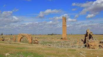 В одном из старейших поселений в мире археологи обнаружили руины школы