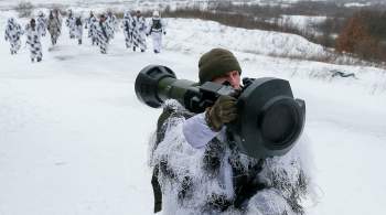 В бундестаге заявили о вреде поставок вооружения Украине