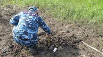 МИД ПМР: весьма вероятно, к сбросу взрывчатки с дрона причастен Киев