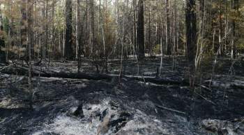 Площадь пожара в нацпарке  Зигальга  на Урале уменьшилась до 35 гектаров