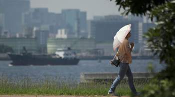 В Японии установилась рекордно поздняя жаркая погода 