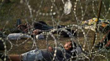Европу ожидает наплыв мигрантов и наркотиков из Афганистана, заявил эксперт