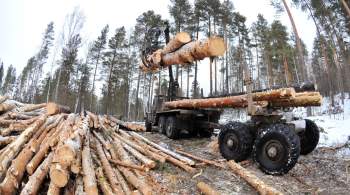 Архангельские депутаты поддержали изменения в работе лесной отрасли