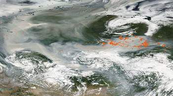 Дым от лесных пожаров впервые в истории достиг Северного полюса