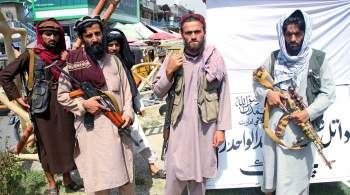 Талибы ввели ряд ограничений на празднование свадеб в Афганистане