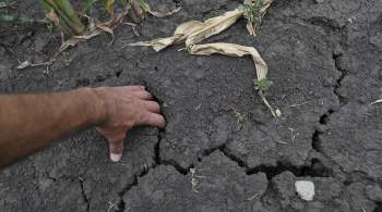 В Чувашии отменили введенный из-за почвенной засухи режим ЧС
