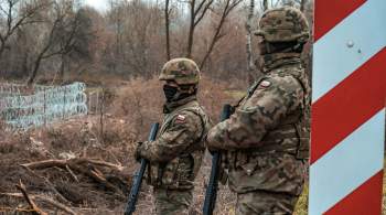 Польша привлекла армию для постройки заграждения на границе с Россией