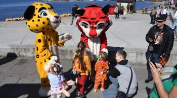 Организаторы рассказали, как прошло празднование дня тигра во Владивостоке 
