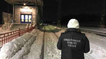 После гибели девушки под поездом в Самарской области возбудили дело 