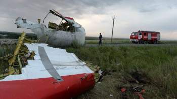 Суд сделал выводы о  Буке , якобы сбившем MH17, по украинским данным