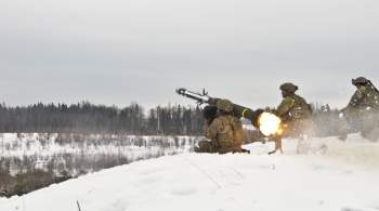 Посол России: Эстонии планируют дать оружие, способное угрожать Петербургу