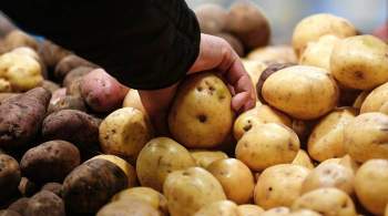 В России подорожал картофель