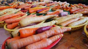 В Росстате сообщили о росте цен на морковь и картофель 