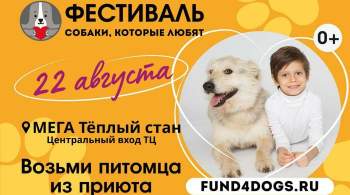 В Москве пройдет благотворительный фестиваль-пристройство собак и кошек