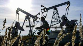 В  Транснефти  сообщили о росте прокачки российской нефти