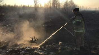 В Екатеринбурге составят реестр торфяников для профилактики пожаров
