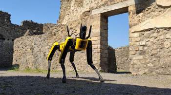 Собака-робот поможет археологам на раскопках в Помпеях