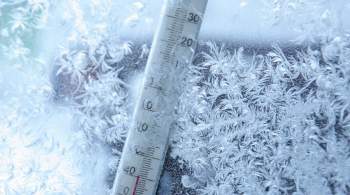 Учеников школ на севере Сахалина перевели на  удаленку  из-за морозов 