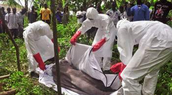 Ученые объяснили причину новой вспышки лихорадки Эбола